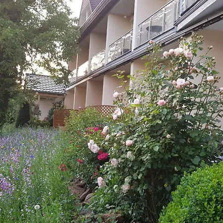 Maarheide 3*