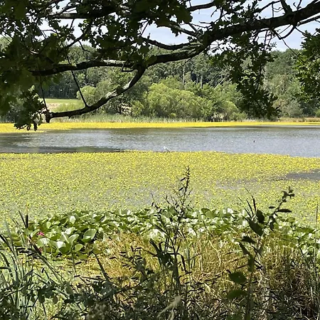 Maarheide